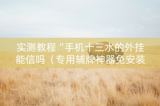 实测教程“手机十三水的外挂能信吗（专用辅牌神器免安装）