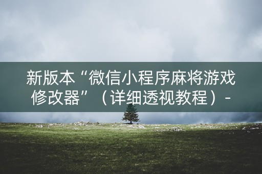 新版本“微信小程序麻将游戏修改器”（详细透视教程）-哔哩哔哩