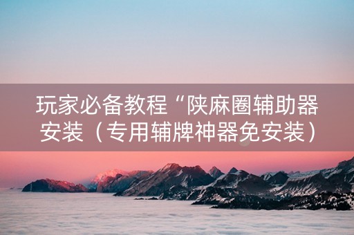 玩家必备教程“陕麻圈辅助器安装（专用辅牌神器免安装）