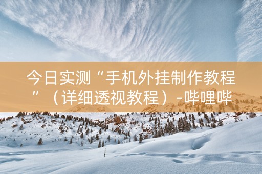 今日实测“手机外挂制作教程”（详细透视教程）-哔哩哔哩