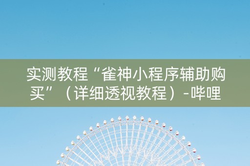 实测教程“雀神小程序辅助购买”（详细透视教程）-哔哩哔哩