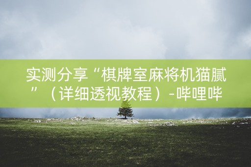 实测分享“棋牌室麻将机猫腻”（详细透视教程）-哔哩哔哩