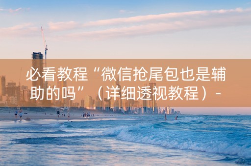 必看教程“微信抢尾包也是辅助的吗”（详细透视教程）-哔哩哔哩