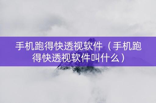 手机跑得快透视软件（手机跑得快透视软件叫什么）