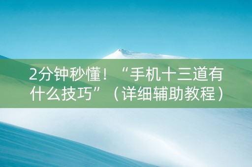 2分钟秒懂！“手机十三道有什么技巧”（详细辅助教程）-哔哩哔哩