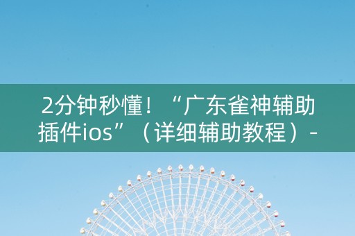 2分钟秒懂！“广东雀神辅助插件ios”（详细辅助教程）-哔哩哔哩