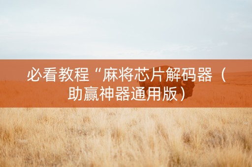 必看教程“麻将芯片解码器（助赢神器通用版）