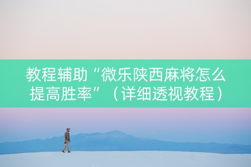 教程辅助“微乐陕西麻将怎么提高胜率”（详细透视教程）-哔哩哔哩