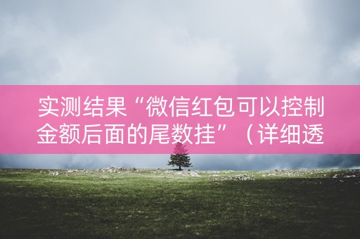 实测结果“微信红包可以控制金额后面的尾数挂”（详细透视教程）-哔哩哔哩