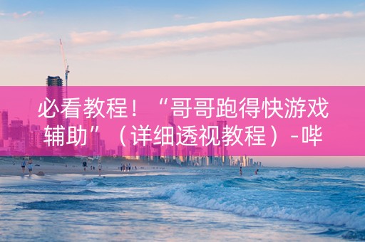 必看教程！“哥哥跑得快游戏辅助”（详细透视教程）-哔哩哔哩