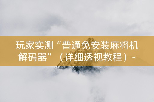 玩家实测“普通免安装麻将机解码器”（详细透视教程）-哔哩哔哩