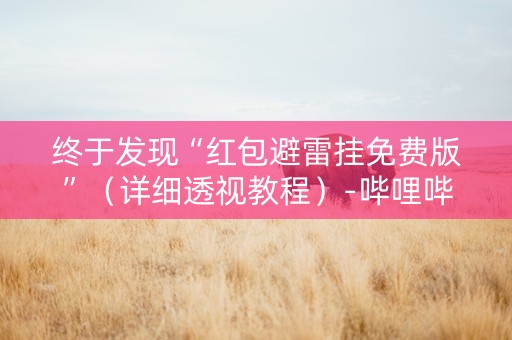 终于发现“红包避雷挂免费版”（详细透视教程）-哔哩哔哩