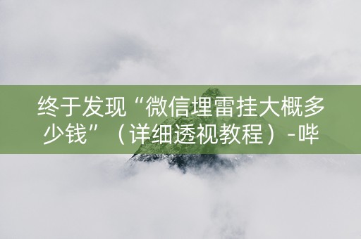 终于发现“微信埋雷挂大概多少钱”（详细透视教程）-哔哩哔哩
