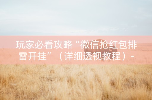玩家必看攻略“微信抢红包排雷开挂”（详细透视教程）-哔哩哔哩