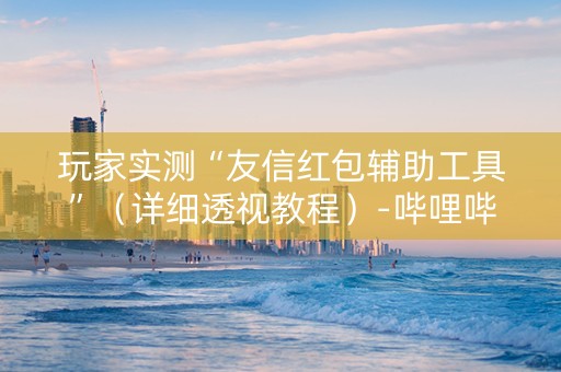 玩家实测“友信红包辅助工具”（详细透视教程）-哔哩哔哩