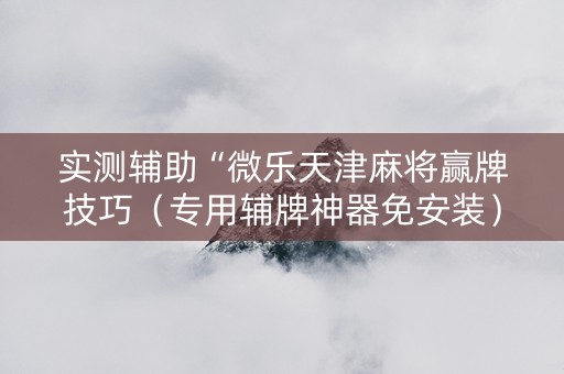 实测辅助“微乐天津麻将赢牌技巧（专用辅牌神器免安装）