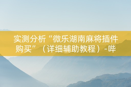 实测分析“微乐湖南麻将插件购买”（详细辅助教程）-哔哩哔哩