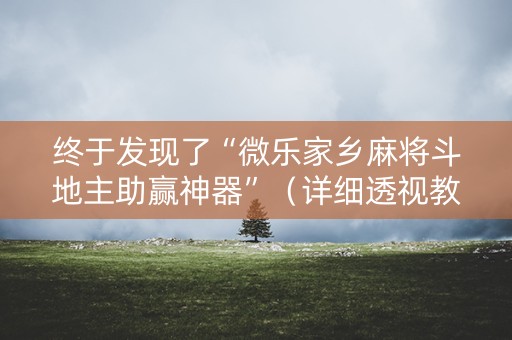 终于发现了“微乐家乡麻将斗地主助赢神器”（详细透视教程）-哔哩哔哩