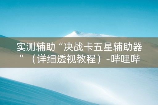 实测辅助“决战卡五星辅助器”（详细透视教程）-哔哩哔哩