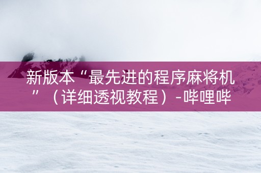 新版本“最先进的程序麻将机”（详细透视教程）-哔哩哔哩