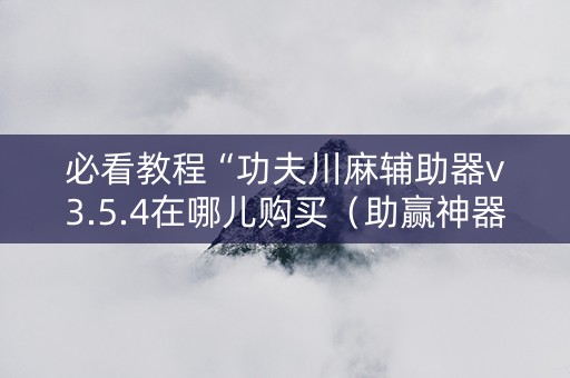 必看教程“功夫川麻辅助器v3.5.4在哪儿购买（助赢神器通用版）