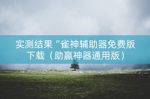 实测结果“雀神辅助器免费版下载（助赢神器通用版）