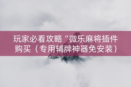 玩家必看攻略“微乐麻将插件购买（专用辅牌神器免安装）