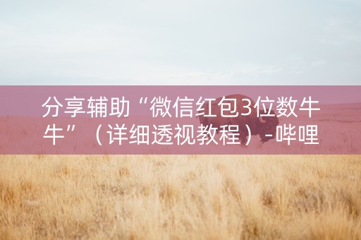 分享辅助“微信红包3位数牛牛”（详细透视教程）-哔哩哔哩