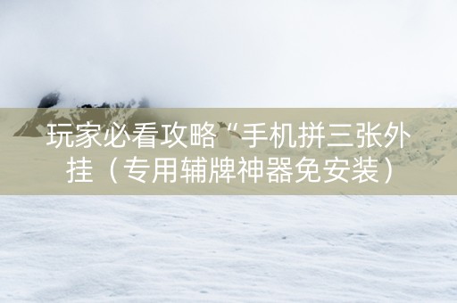 玩家必看攻略“手机拼三张外挂（专用辅牌神器免安装）