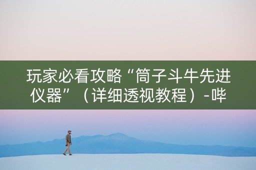 玩家必看攻略“筒子斗牛先进仪器”（详细透视教程）-哔哩哔哩