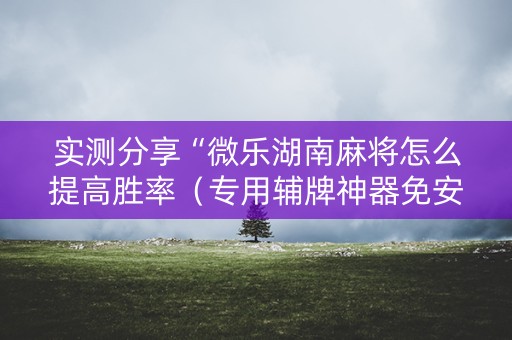 实测分享“微乐湖南麻将怎么提高胜率（专用辅牌神器免安装）