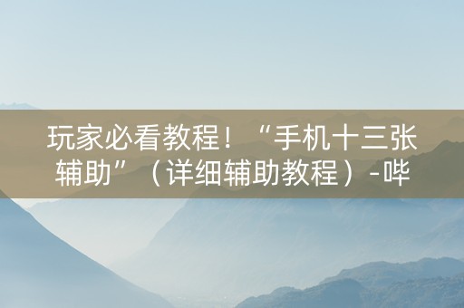 玩家必看教程！“手机十三张辅助”（详细辅助教程）-哔哩哔哩