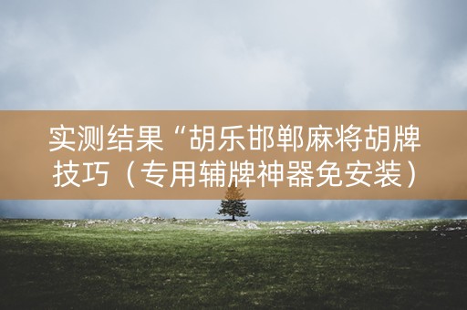 实测结果“胡乐邯郸麻将胡牌技巧（专用辅牌神器免安装）
