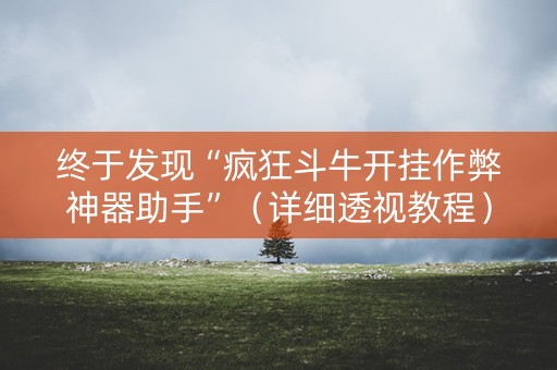 终于发现“疯狂斗牛开挂作弊神器助手”（详细透视教程）-哔哩哔哩