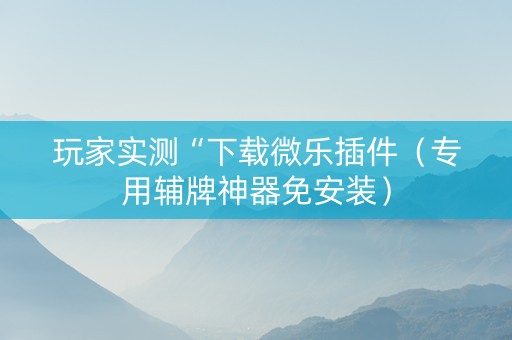 玩家实测“下载微乐插件（专用辅牌神器免安装）