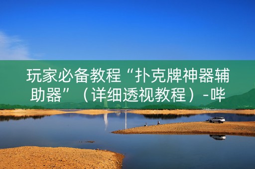 玩家必备教程“扑克牌神器辅助器”（详细透视教程）-哔哩哔哩
