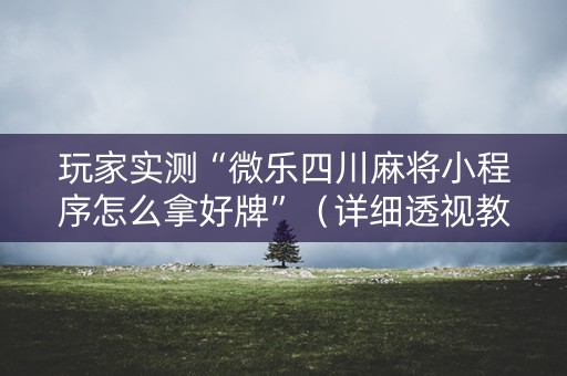 玩家实测“微乐四川麻将小程序怎么拿好牌”（详细透视教程）-哔哩哔哩