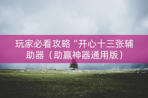 玩家必看攻略“开心十三张辅助器（助赢神器通用版）