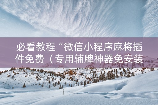 必看教程“微信小程序麻将插件免费（专用辅牌神器免安装）