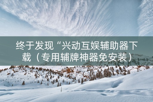 终于发现“兴动互娱辅助器下载（专用辅牌神器免安装）