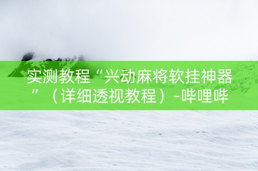 实测教程“兴动麻将软挂神器”（详细透视教程）-哔哩哔哩
