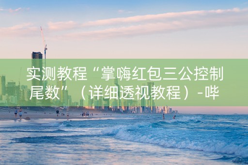 实测教程“掌嗨红包三公控制尾数”（详细透视教程）-哔哩哔哩