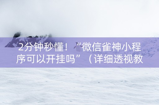 2分钟秒懂！“微信雀神小程序可以开挂吗”（详细透视教程）-哔哩哔哩