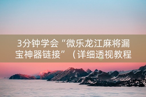 3分钟学会“微乐龙江麻将漏宝神器链接”（详细透视教程）-哔哩哔哩