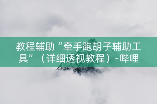 教程辅助“牵手跑胡子辅助工具”（详细透视教程）-哔哩哔哩