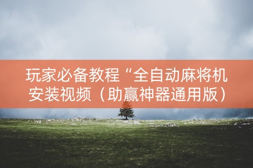 玩家必备教程“全自动麻将机安装视频（助赢神器通用版）