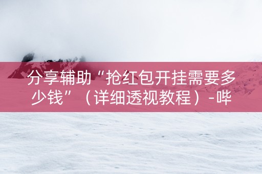 分享辅助“抢红包开挂需要多少钱”（详细透视教程）-哔哩哔哩