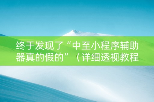 终于发现了“中至小程序辅助器真的假的”（详细透视教程）-哔哩哔哩