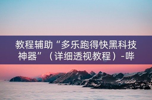教程辅助“多乐跑得快黑科技神器”（详细透视教程）-哔哩哔哩