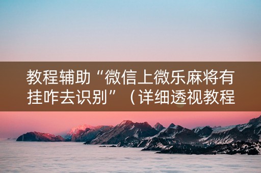 教程辅助“微信上微乐麻将有挂咋去识别”（详细透视教程）-哔哩哔哩